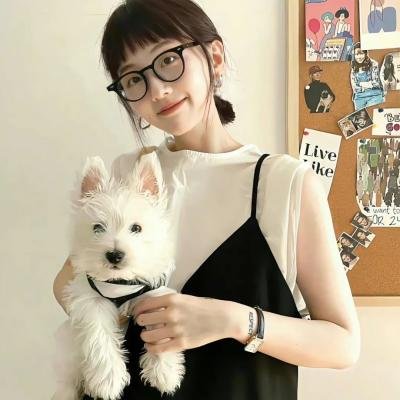 一枝独秀：喜剧革命