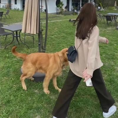 印花龙